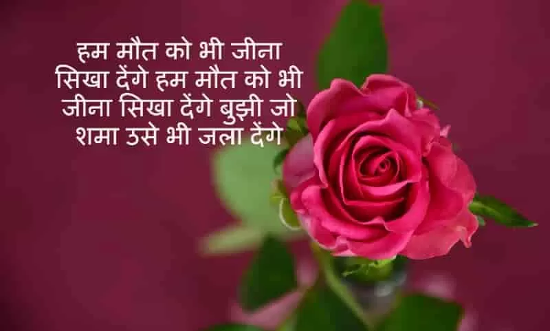 i love you meaning in hindi,