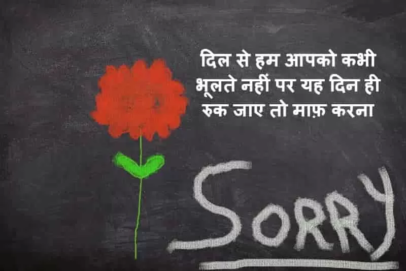 Sorry shayri,sorry Hindi