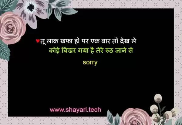 Sorry Shayari in hindi